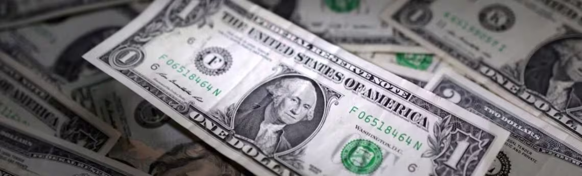 US dollar wide 1140 x 346