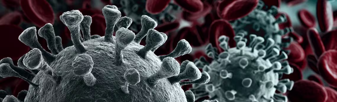 Coronavirus - 1140x346