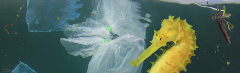 Cleaning-up-the-Ocean-banner
