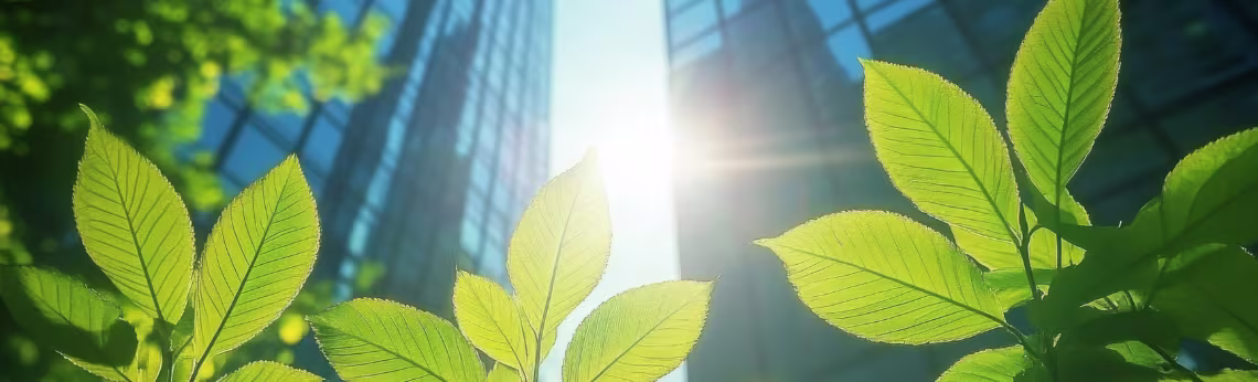 rational-sustainability-1140-346