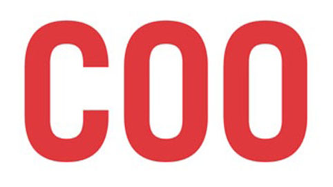 Putting the COO inside professional services
