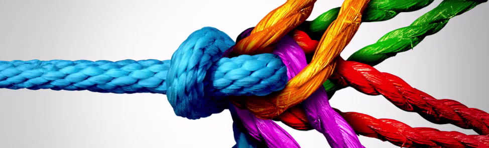 Making-teams-work-How-to-manage-diversity-in-values-974x296