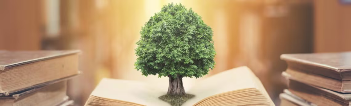 Tree 1140 by 346
