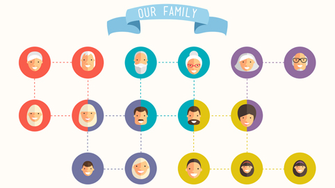 family tree illustration