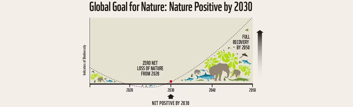 Nature-net-positive-pic-1140