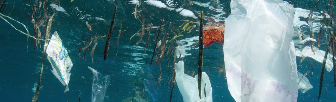 Ocean Cleanup - 1140x346